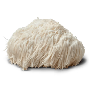 Lions Mane